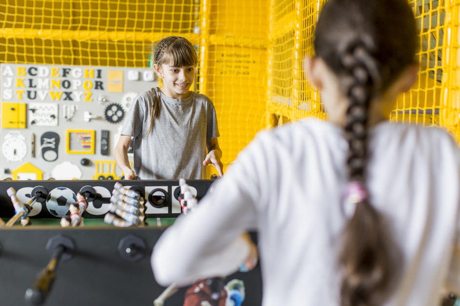 Read more about the article The Rise of Indoor Sports Culture